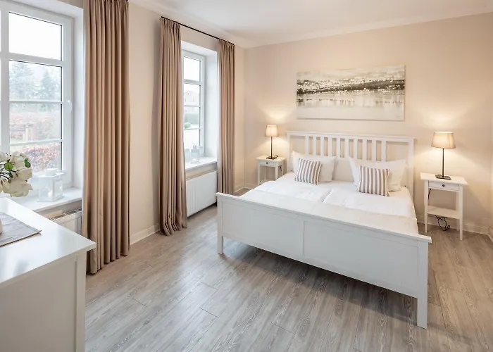 Austernfischer Westermarkelsdorf