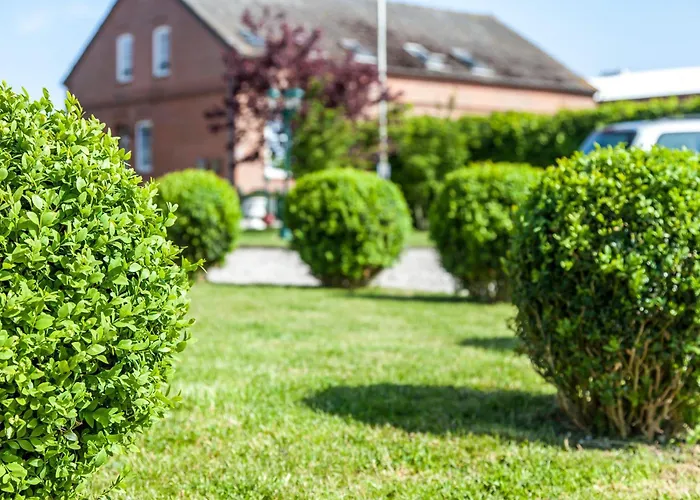 Austernfischer Apartment