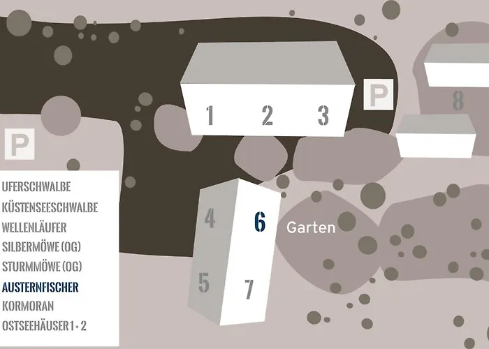 Austernfischer * Westermarkelsdorf